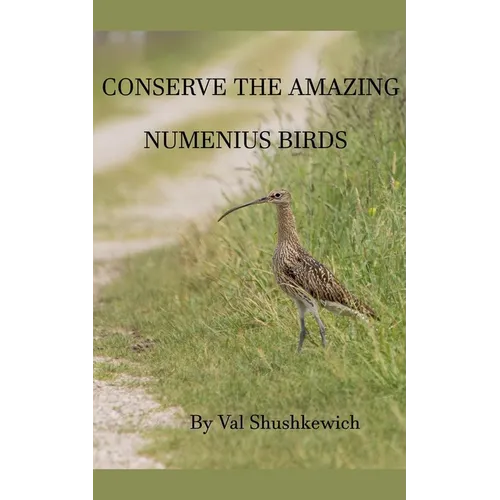 Conserve the Amazing Numenius Birds