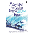 Moonrise from the Green Grass Roof