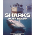 Sharks of New England