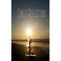 Sunlit Reflections
