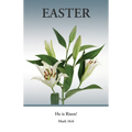 Easter Bulletin: He Is Risen (Package of 100): Mark 16:6 (Kjv)