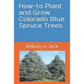 How-To Plant and Grow Colorado Blue Spruce Trees