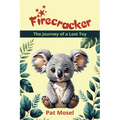 Firecracker: The Journey of a Lost Toy