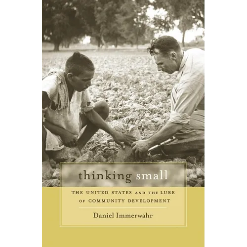 Thinking Small: The United States and the Lure of Community Development
