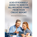 A Do-It-Yourself Guide To Remove All Negative Items From Your Credit Report: The Best Guide To Fixing Your Credit Rating