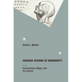 Curious Visions of Modernity: Enchantment, Magic, and the Sacred