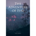 The Adventure of Fire