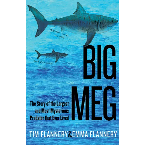 Big Meg: The Story of the Largest and Most Mysterious Predator That Ever Lived
