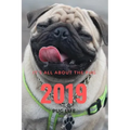 It;s All about the Pug: Pug Life