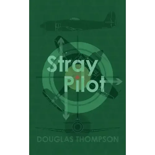 Stray Pilot