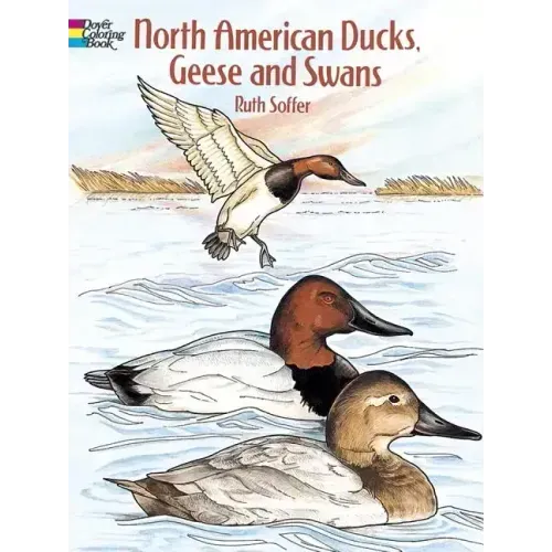 North American Ducks, Geese and Swans Coloring Book