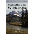Meeting Him in the Wilderness: A True Story of Adventure and Faith