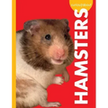 Curious about Hamsters