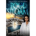 Pool of Siloam: The Cleansing
