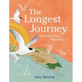 The Longest Journey: An Arctic Tern's Migration