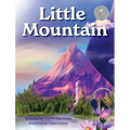 Little Mountain