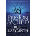 Blue Labyrinth