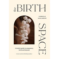 The Birth Space: A Doula's Guide to Pregnancy, Birth and Beyond