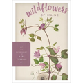 Wildflowers of Maine