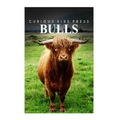 Bulls - Curious Kids Press