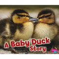 A Baby Duck Story