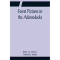 Forest Pictures in the Adirondacks