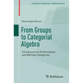From Groups to Categorial Algebra: Introduction to Protomodular and Mal'tsev Categories