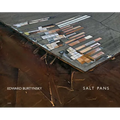 Edward Burtynsky: Salt Pans: Little Rann of Kutch, Gujarat, India
