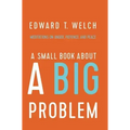 A Small Book about a Big Problem: Meditations on Anger, Patience, and Peace