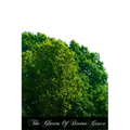 The Glories Of Divine Grace