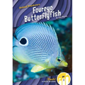 Foureye Butterflyfish