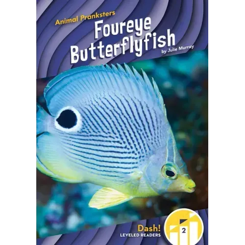 Foureye Butterflyfish