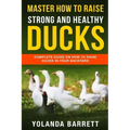 Master How To Raise Strong And Healthy Ducks: Complete Guide On How To Raise Ducks In Your Backyard