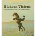 Bighorn Visions