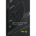 Teoría del alma china