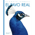 El Pavo Real