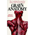 Gray's Anatomy