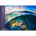 Two Worlds: Above and Below the Sea