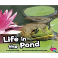 Life in the Pond