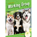 Working Group