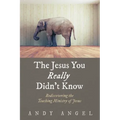 The Jesus You Really Didn't Know: Rediscovering the Teaching Ministry of Jesus