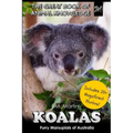 Koalas: Furry Marsupials of Australia