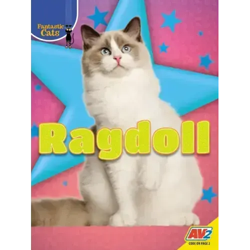 Ragdoll