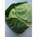 Kapusta