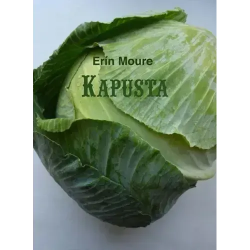 Kapusta