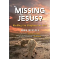 Missing Jesus?: Finding the Shepherd we lost