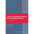 A Path to Combinatorics for Undergraduates: Counting Strategies