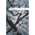 Slantwise: Poems