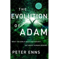 The Evolution of Adam