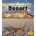 Living and Nonliving in the Desert